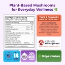 ashwagandha-gummies-and-lions-mane-mushr-5.jpg