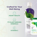 youngevity-classic-90-pak-advanced-multi-6.jpg