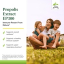 terry-naturally-propolis-extract-ep300---3.jpg