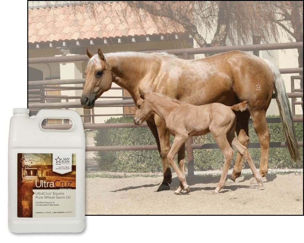 ultracruz-sc-395355-pure-wheat-germ-oil--4.jpg