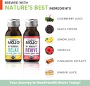 teaonic-wellness-shots---variety-pack-re-3.jpg