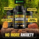 organic-mushroom-supplement-10-in-1-reis-2.jpg