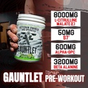 gauntlet-pre-workout-powder-explosive-wo-5.jpg