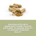 evergreen-herbs-palo-guaco-capsules-90-c-3.jpg