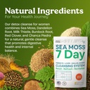 atlantic-naturals-sea-moss-7-day-detox-l-4.jpg