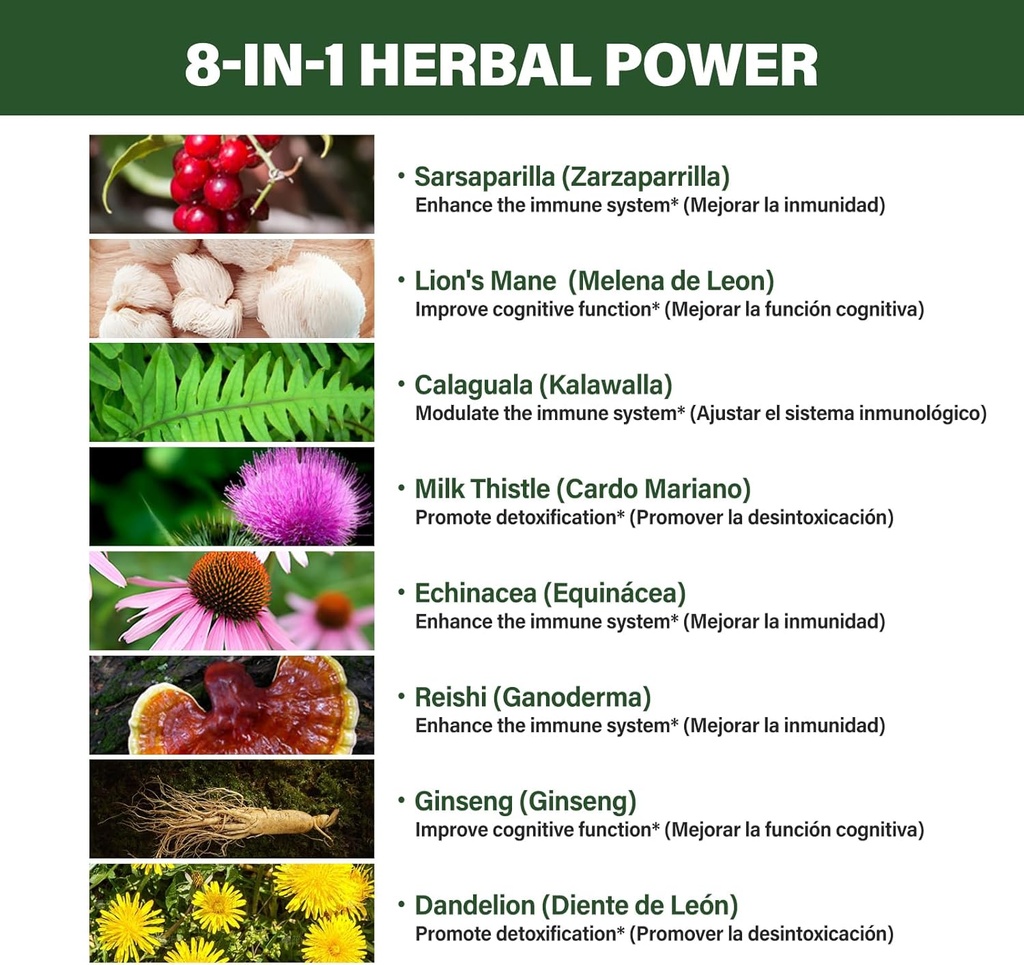 sarsaparilla-kalawalla-root-polypodium-l-3.jpg