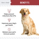 dog-uti-treatment-cranberry-supplement-f-4.jpg
