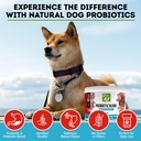 only-natural-pet-probiotic-dog-and-cat-s-3.jpg