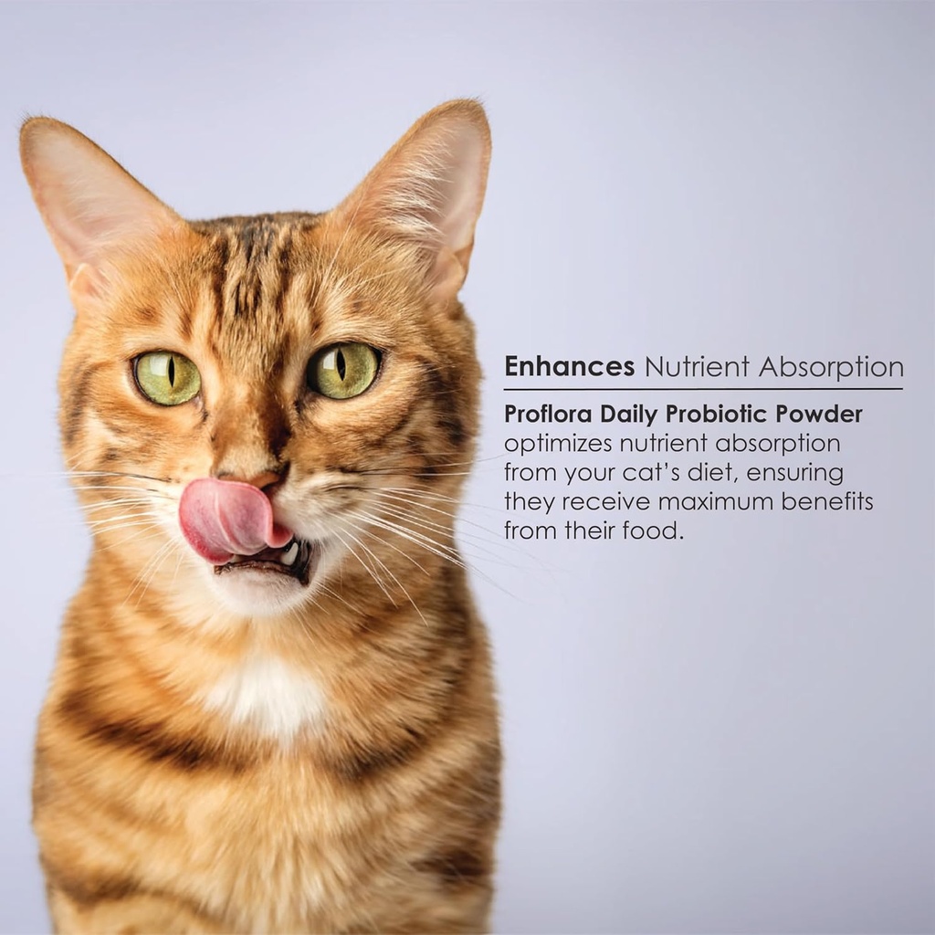 probiotics-for-cats-complete-gut-health--3.jpg