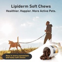 new-international-veterinary-sciences-iv-6.jpg