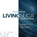 living-silica-repair-recover-kit-5.jpg