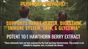 super-potent-hawthorn-berry-101-extract--4.jpg