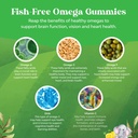 kids-dha-omega-3-gummies---fatty-acids-o-5.jpg