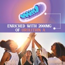 urolithin-a-supplement-2000mg-3.jpg