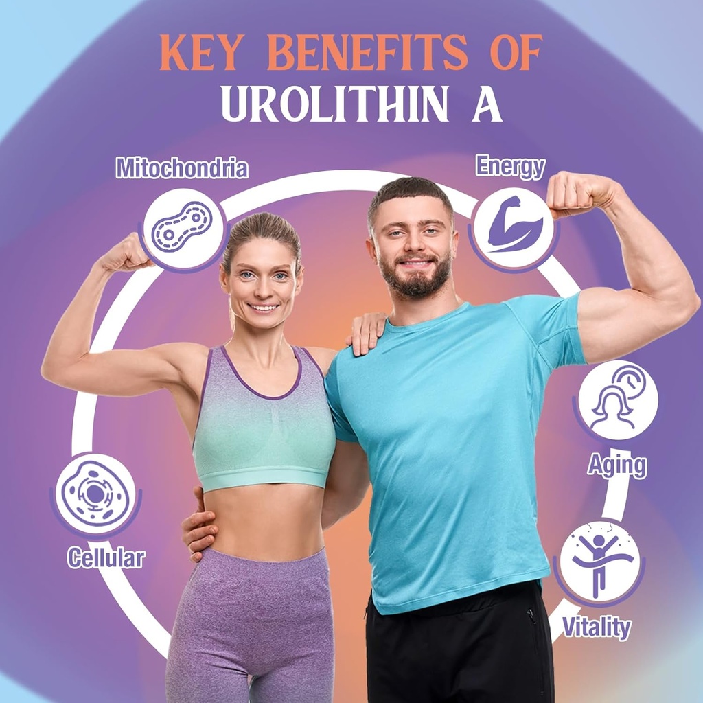 urolithin-a-supplement-2000mg-4.jpg