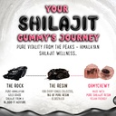pure-himalayan-shilajit-gummies---high-p-6.jpg