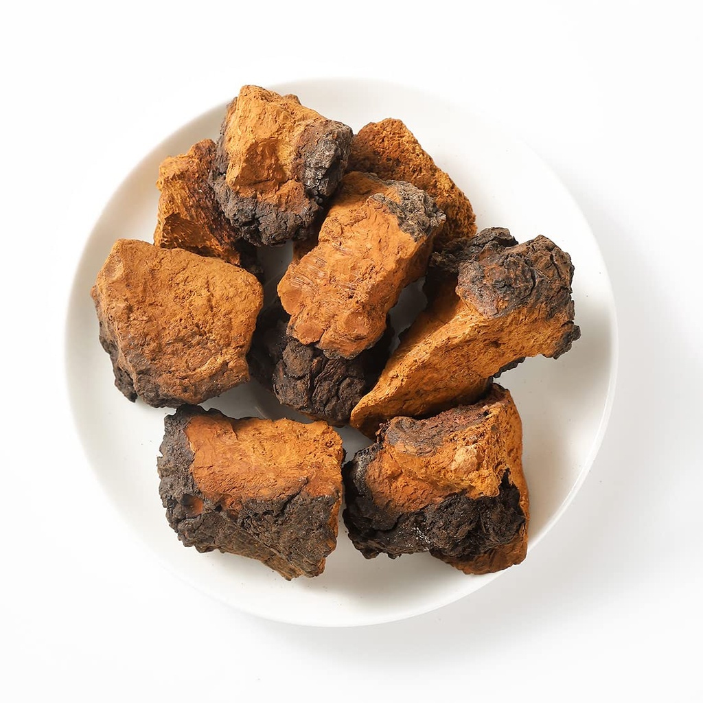 premium-chaga-mushroom-chunks-7-oz199gse-2.jpg