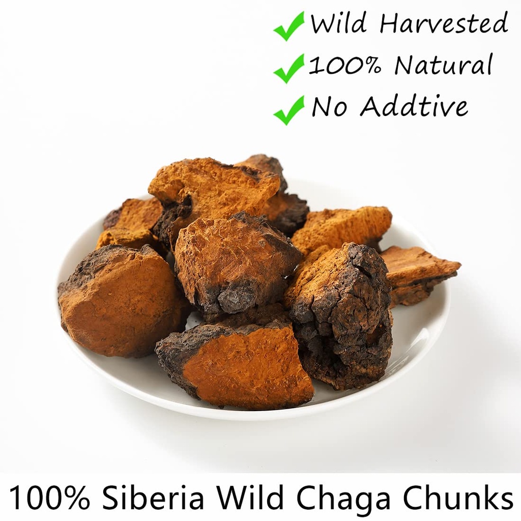 premium-chaga-mushroom-chunks-7-oz199gse-3.jpg