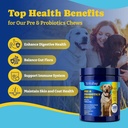 probiotics-for-dogs---dog-probiotics-for-5.jpg