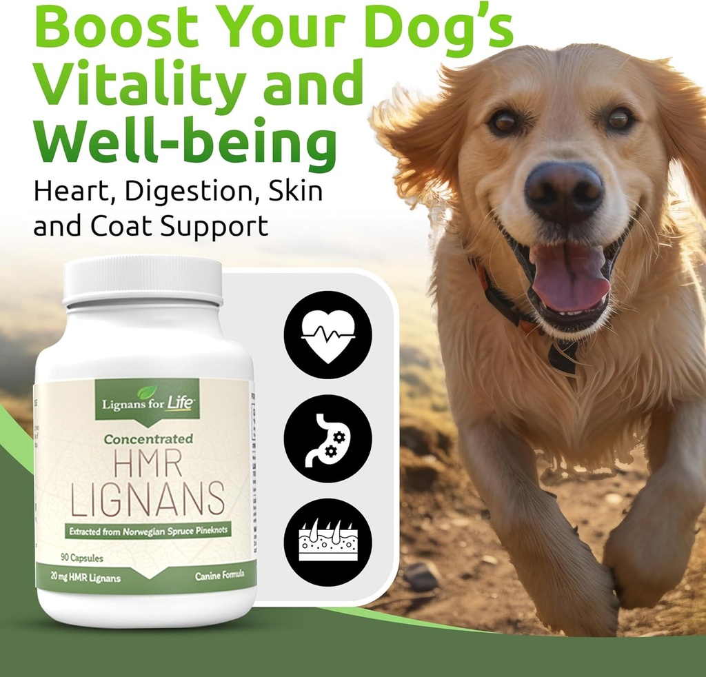 lignans-for-life-hmr-lignans-20mg---90-c-2.jpg