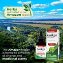 fito-medics-lab---ginkgo-biloba-for-memo-3.jpg