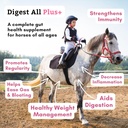 wholistic-pet-organics-digest-all-plus-h-3.jpg