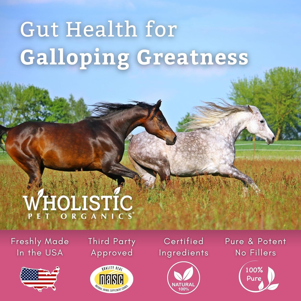 wholistic-pet-organics-digest-all-plus-h-6.jpg