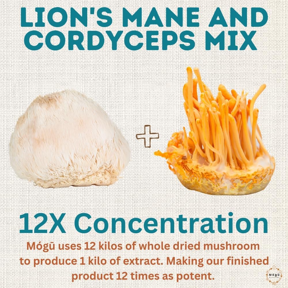 body-mind---pure-organic-lions-mane-cord-4.jpg
