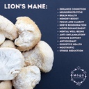 body-mind---pure-organic-lions-mane-cord-5.jpg