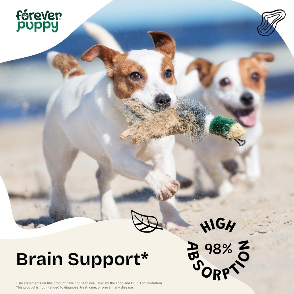 forever-puppy-gotu-kola-drops-for-dogs---2.jpg