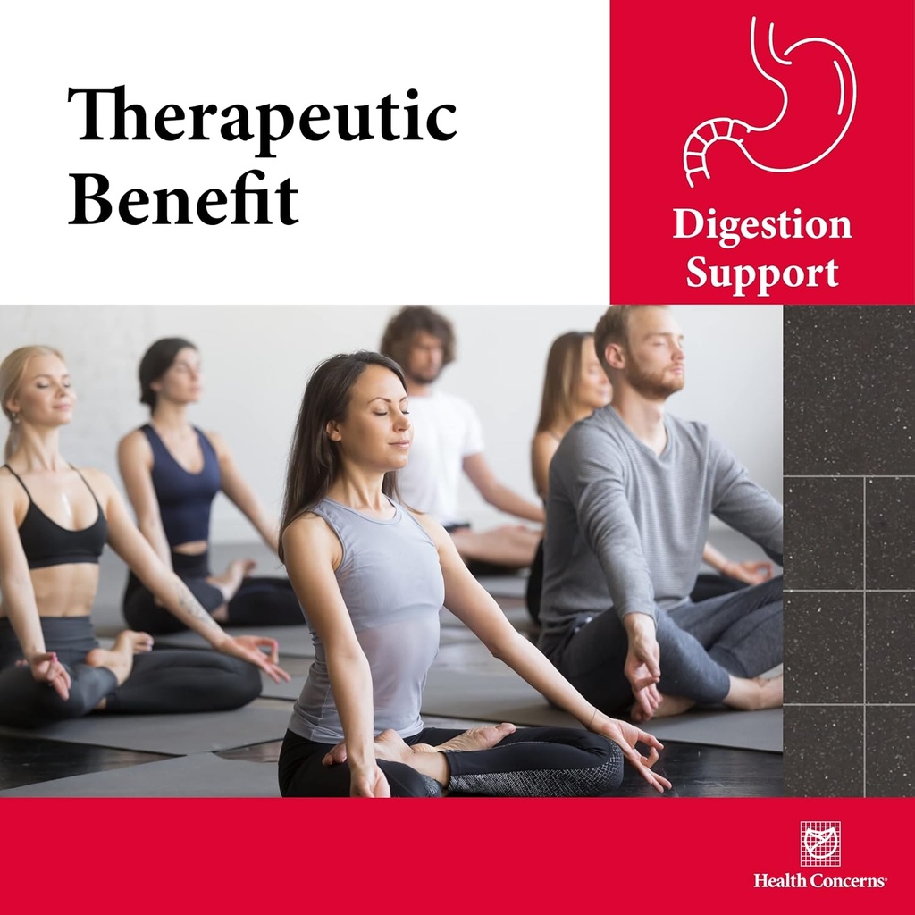 health-concerns-quiet-digestion-digestiv-5.jpg