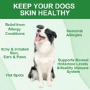 allergy-relief-chews-soothe-itchy-dogs-w-2.jpg