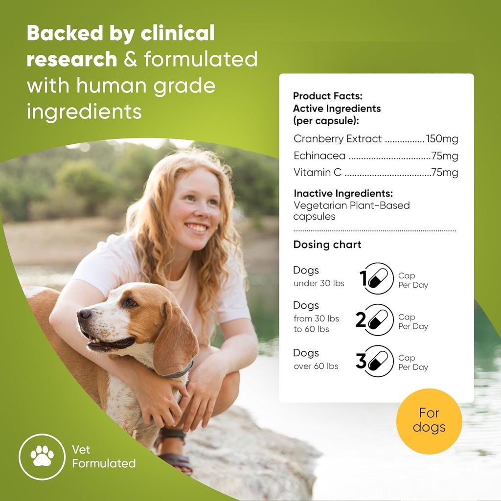 rooted-owl-urinary-support---echinacea-a-4.jpg