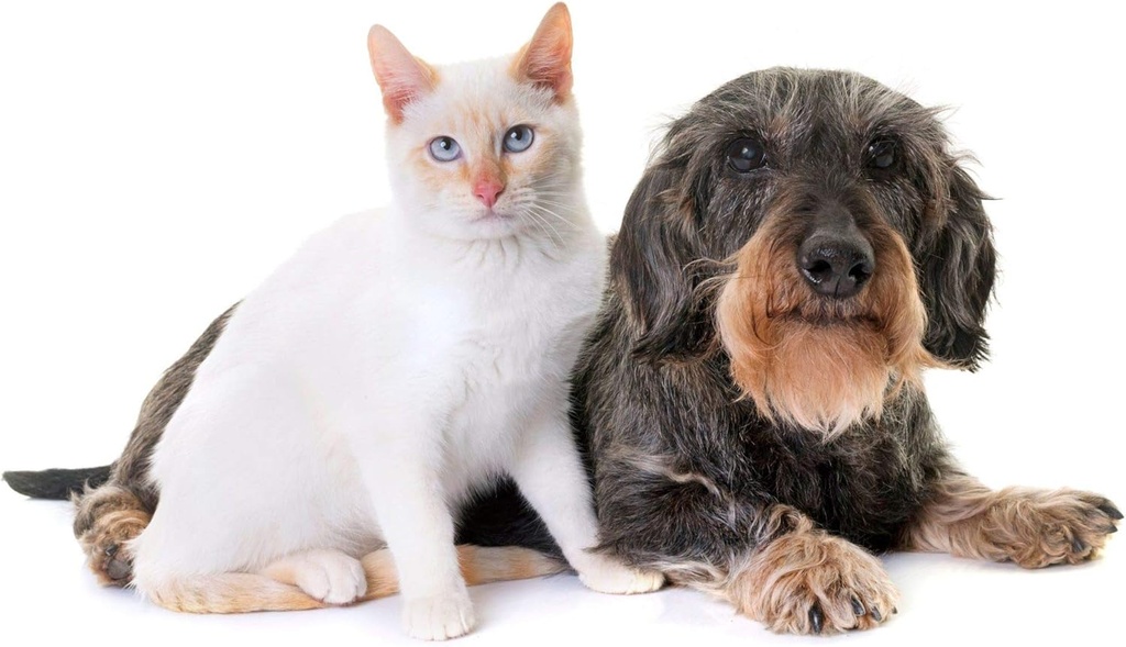cat-uti-relief---pets-urinary-health-com-3.jpg