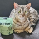 probiotic-for-cats-kittens---cat-probiot-5.jpg