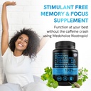 12-in-1-nootropic-ginkgo-biloba-for-brai-4.jpg