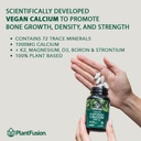 plantfusion-complete-vegan-protein-powde-4.jpg