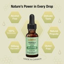 lovita-bee-propolis-echinacea-liquid-nut-4.jpg