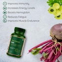 plant-based-iron-with-ferrous-fumarate-v-5.jpg