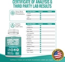 lions-mane-3000mg-turkey-tail-3000mg-rei-6.jpg