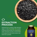 healthforce-superfoods-shilajit---120-ve-6.jpg