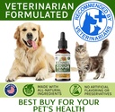 kennel-cough-treatment-liquid---cough-su-5.jpg
