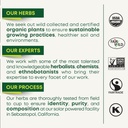 traditional-medicinals-tea-cold-care-pm--6.jpg