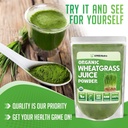 xprs-nutra-organic-wheatgrass-juice-powd-5.jpg
