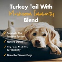 iheartdogs-turkey-tail-mushroom-for-dogs-2.jpg
