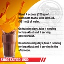 mammoth-mass-weight-gainer-high-calorie--4.jpg