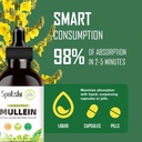 mullein-drops-for-lungs---lung-detox-for-3.jpg
