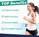 liposomal-berberine-hcl-liquid-drops-adv-4.jpg