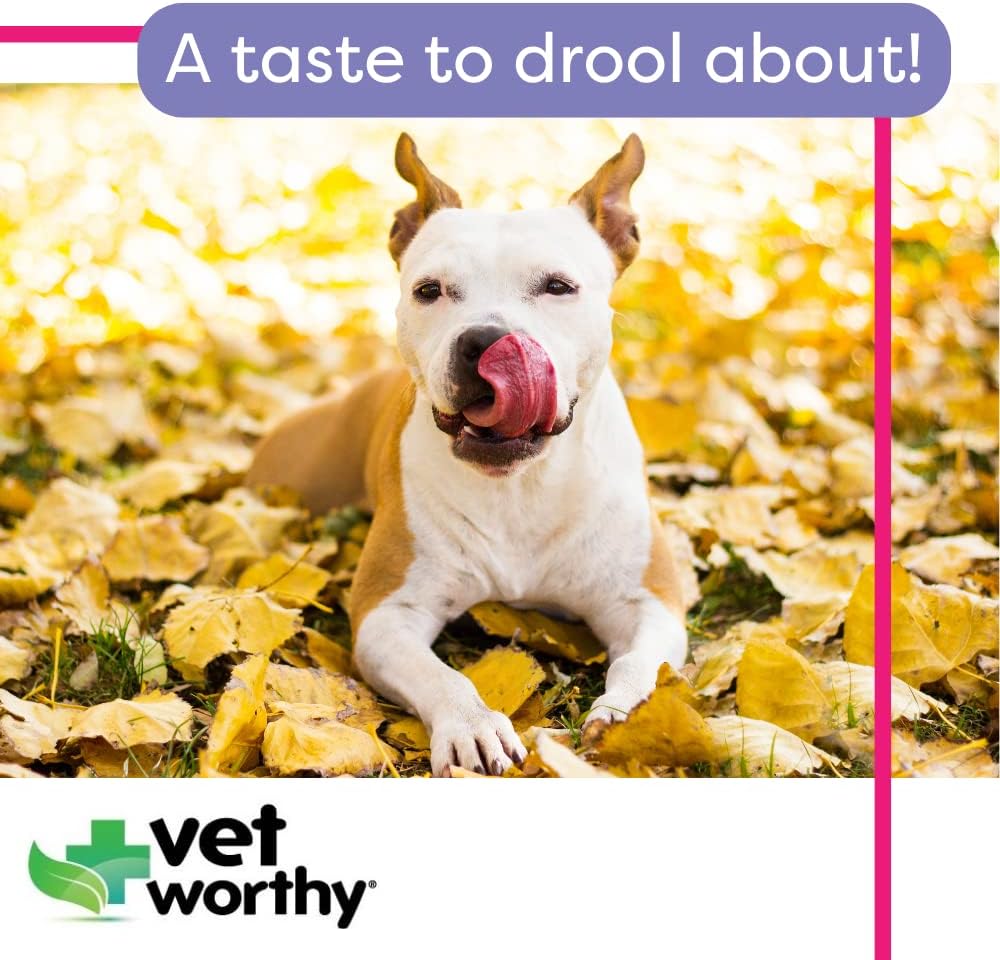 vet-worthy-stop-stool-ingestion--coproph-4.jpg