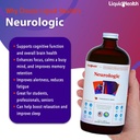 liquidhealth-adult-focus-energy-liquid-v-3.jpg